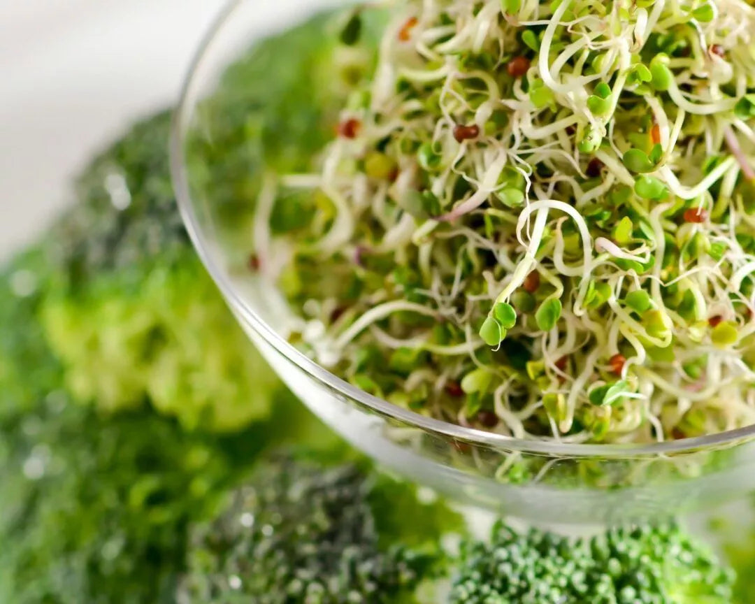 7 Science-Backed Benefits of Sulforaphane from Broccoli Sprouts Ora Health 7 Science-Backed Benefits of Sulforaphane from Broccoli Sprouts Ora Health