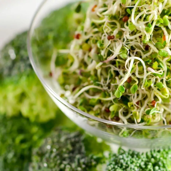 7 Science-Backed Benefits of Sulforaphane from Broccoli Sprouts